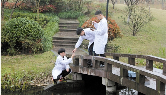 1491876505535573.jpg qjwb20170411q0005v01b010.jpg